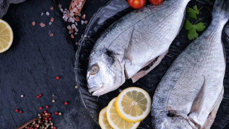 مجموعه غذای دریایی خام