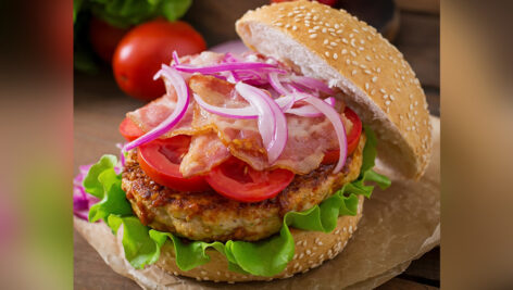 ساندویچ همبرگر- چیزبرگر و وجترین