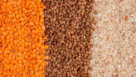 مجوعه عدس قرمز و نخود با برنج خشک